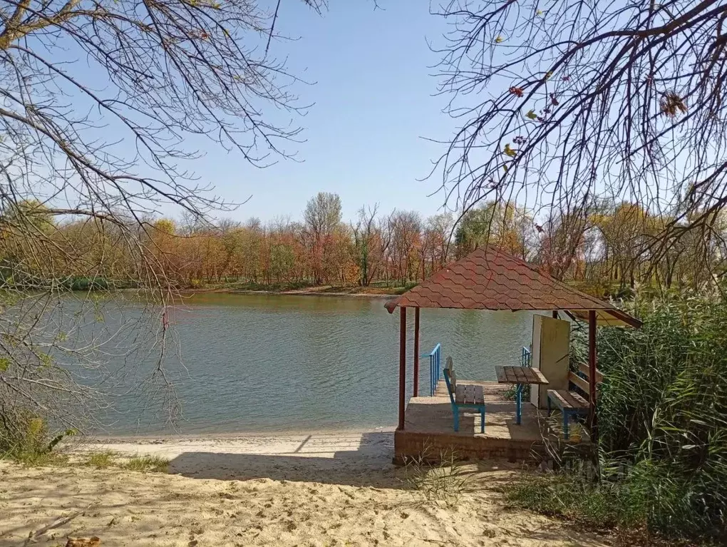 Участок в Ростовская область, Багаевский район, Ажиновское с/пос, ... - Фото 2