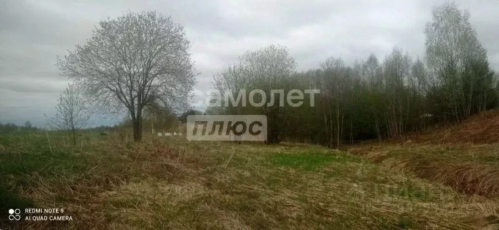 Участок в Вологодская область, д. Смольево, Закрышкино садовое ... - Фото 2
