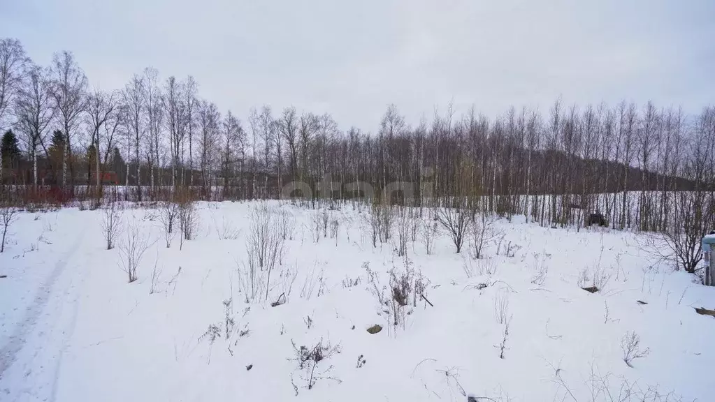 Участок в Санкт-Петербург пос. Парголово, Михайловка тер.,  (150.0 ... - Фото 1