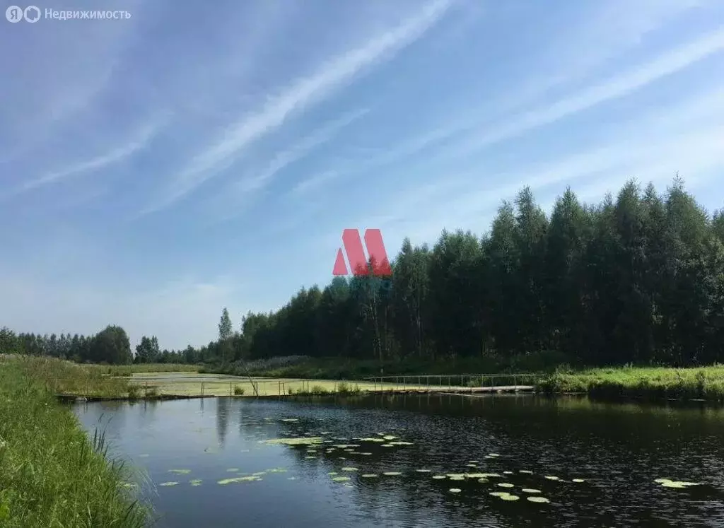 Дом в Ярославская область, Некрасовский муниципальный округ, сельское ... - Фото 0