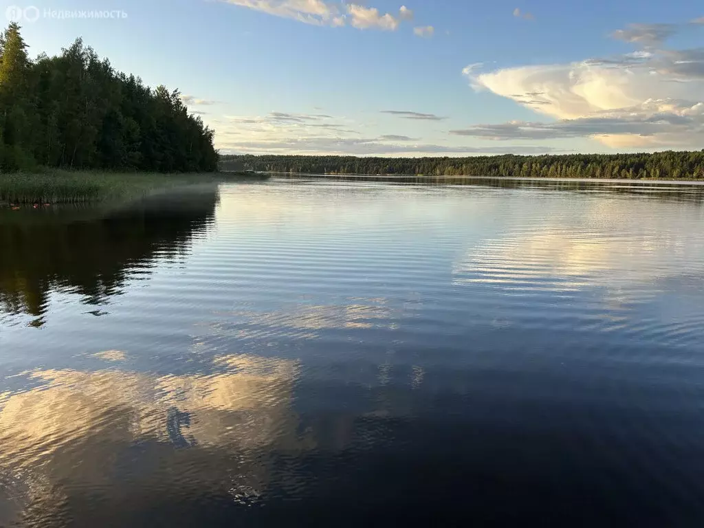 Участок в Приозерский район, Запорожское сельское поселение, деревня ... - Фото 1