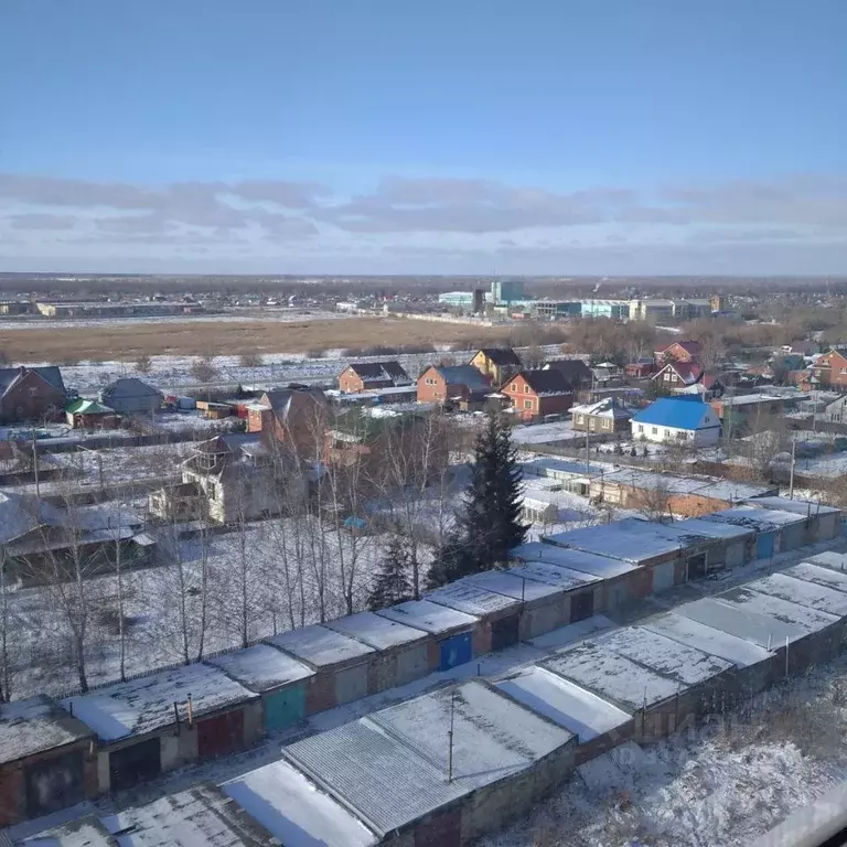 3-к кв. Омская область, Омский район, пос. Ключи Березовая ул., 15 ... - Фото 1