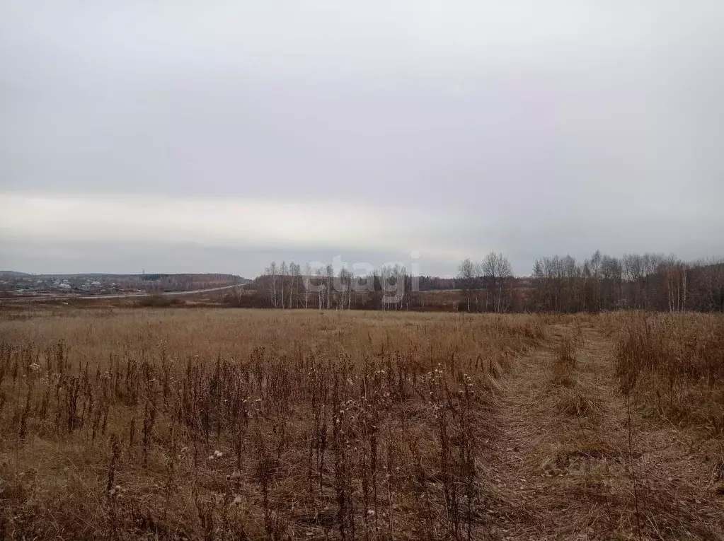 Участок в Свердловская область, Горноуральский городской округ, с. Лая ... - Фото 1