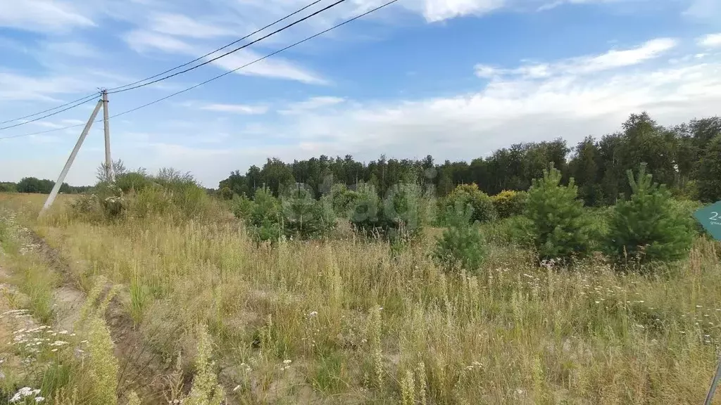 Участок в Тюменская область, Нижнетавдинский муниципальный округ, ... - Фото 1