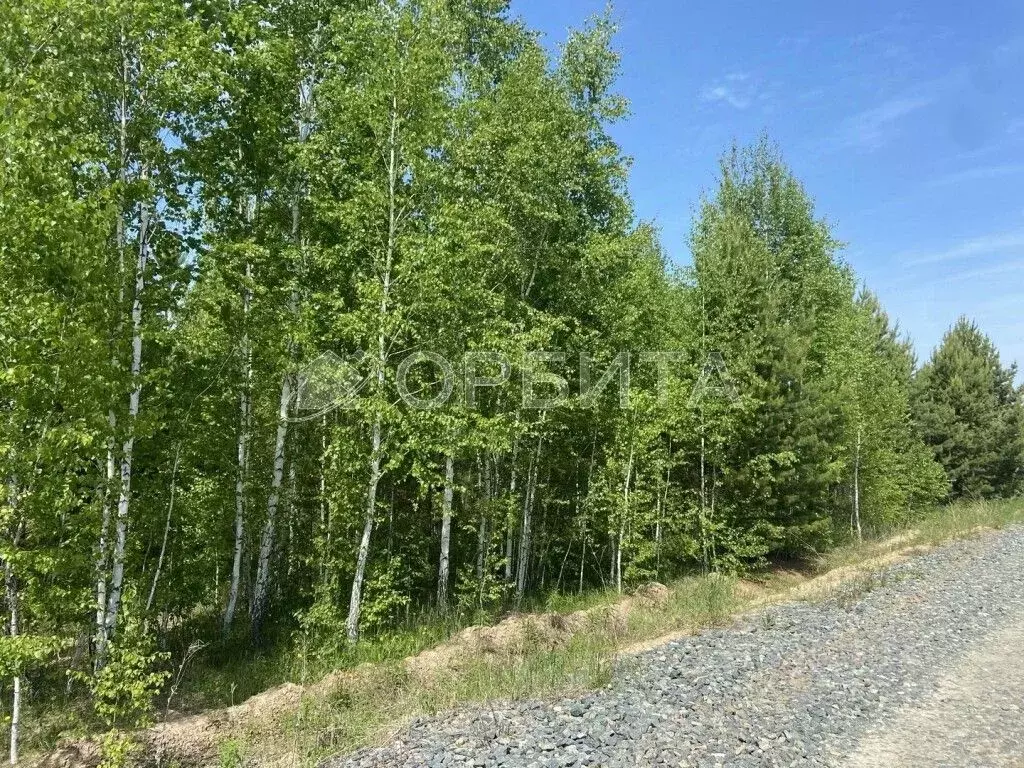 Участок в Тюменская область, Тюменский район, Новокаменский кп ул. ... - Фото 0