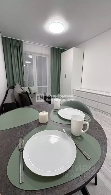 Студия Санкт-Петербург ул. Ультрамариновая, 5 (24.1 м) - Фото 2