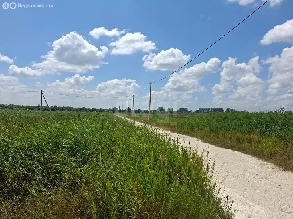 Участок в Темрюк, Осенняя улица (5.4 м) - Фото 2