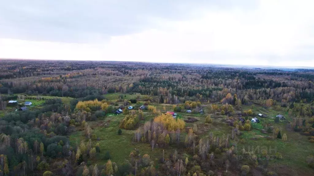 Участок в Тверская область, Селижаровский муниципальный округ, д. ... - Фото 1