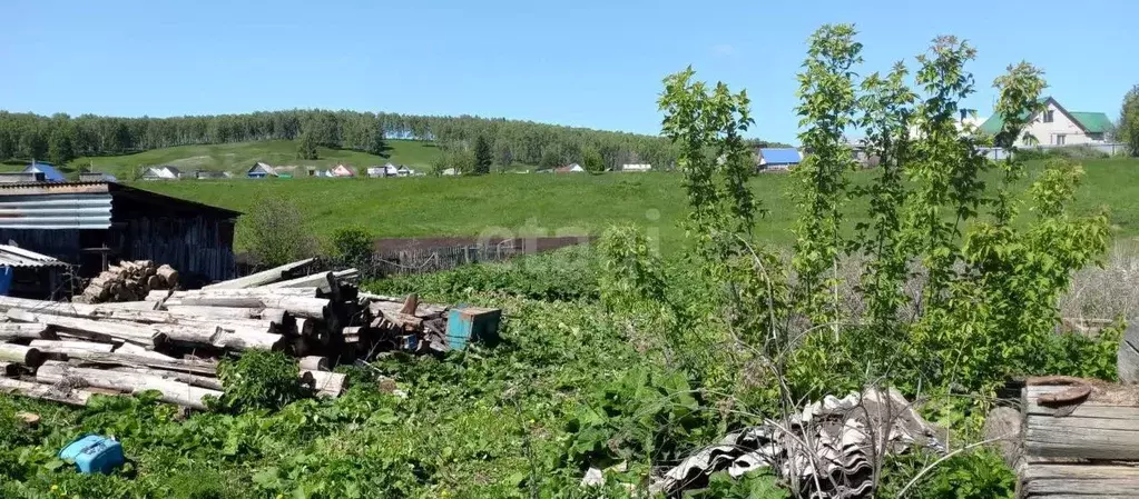Участок в Башкортостан, Ишимбайский район, Петровский сельсовет, д. ... - Фото 1