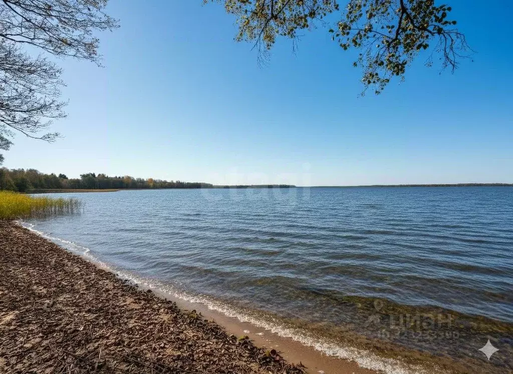 Участок в Псковская область, Себежское с/пос, д. Осыно  (330.0 сот.) - Фото 1