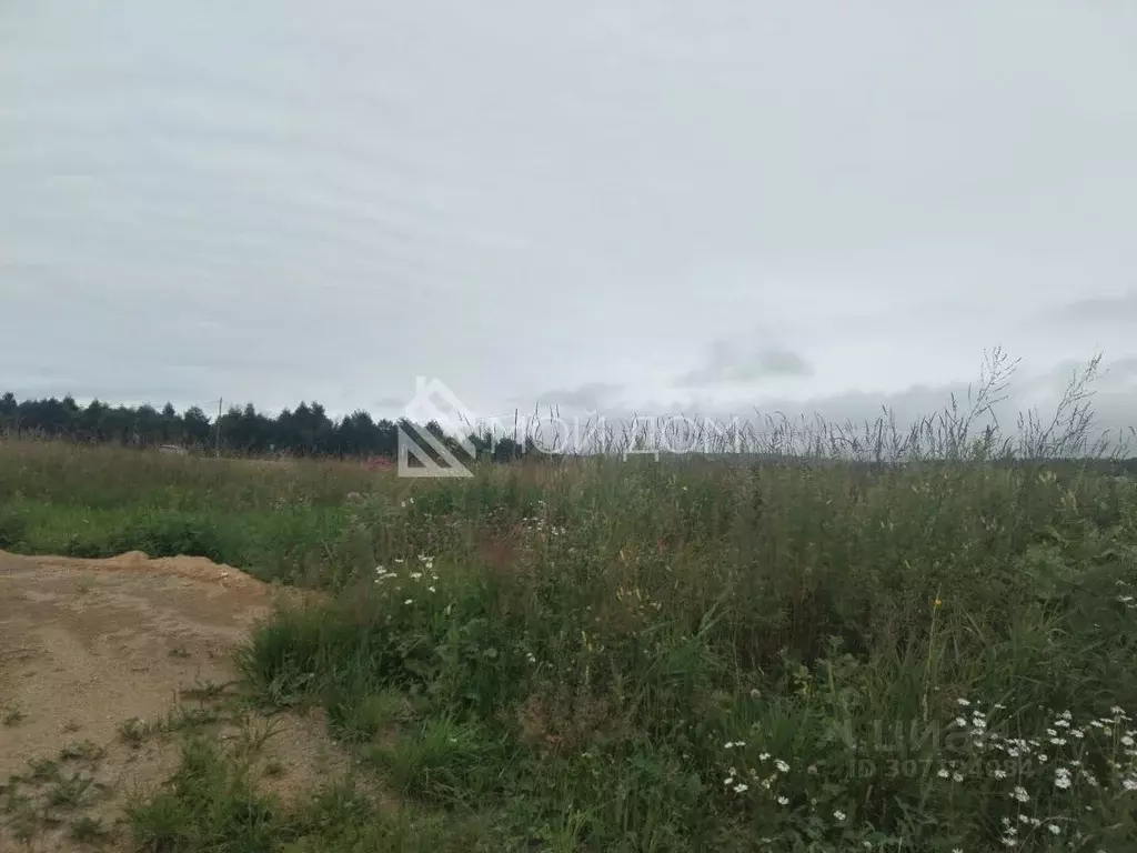 Участок в Сахалинская область, Анивский городской округ, с. Мицулевка  ... - Фото 1