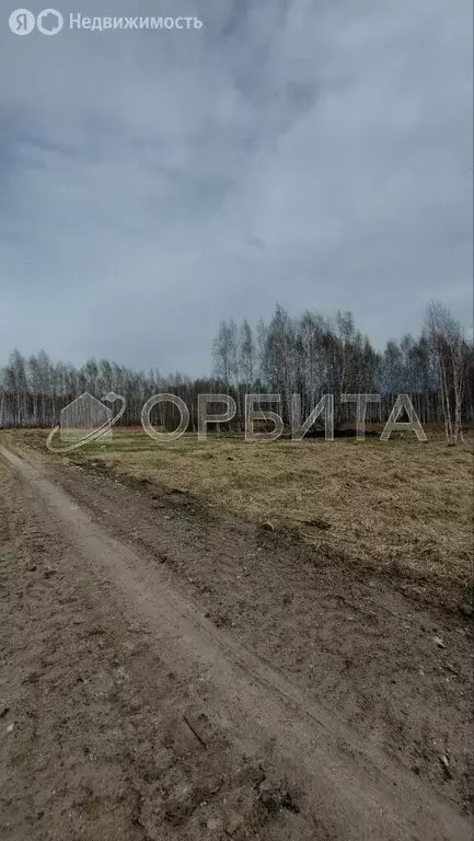 Участок в Нижнетавдинский район (5 м) - Фото 0