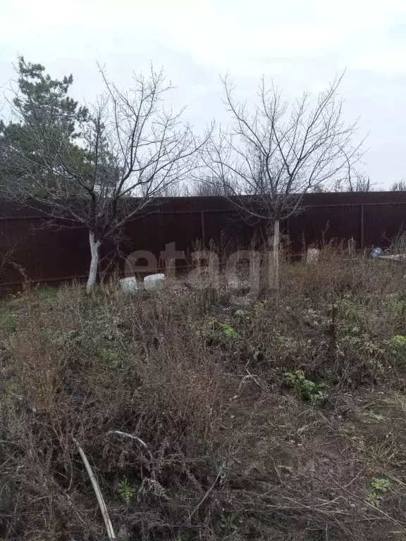 Участок в Саратовская область, Энгельсский район, Терновское ... - Фото 2