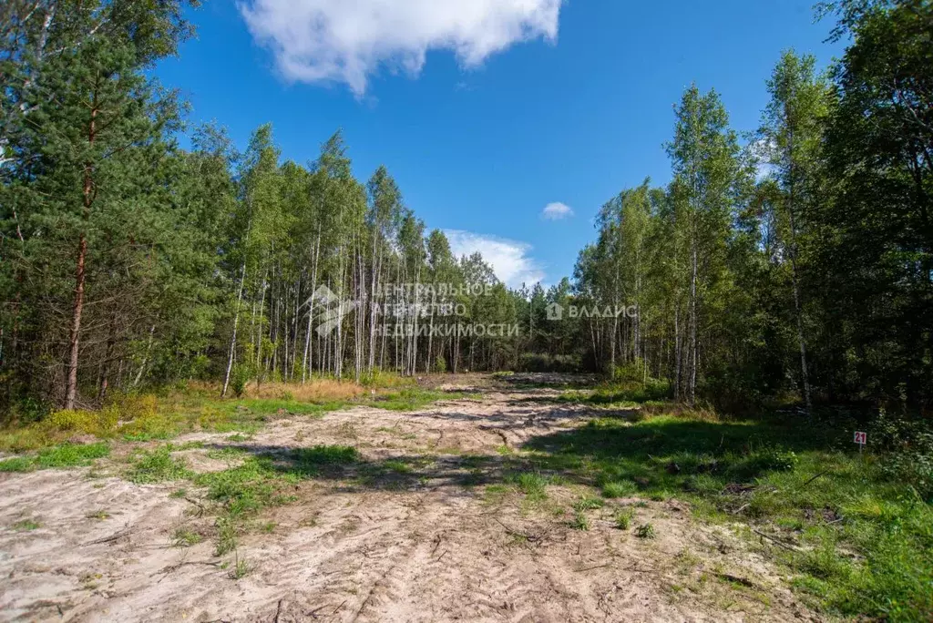 Участок в Рязанская область, Клепиковский муниципальный округ, д. ... - Фото 2