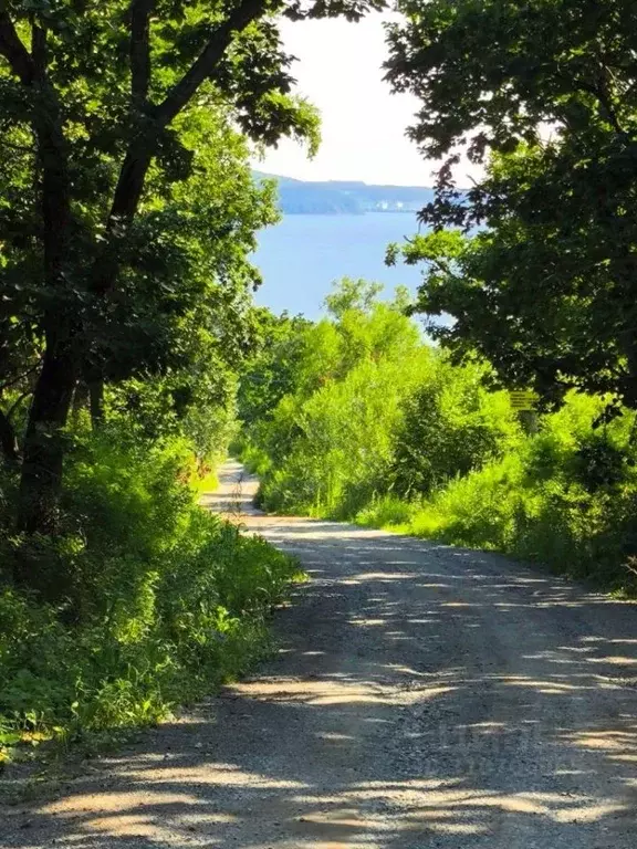 Участок в Приморский край, Находка пос. Врангель, ул. Ясная, 24 ... - Фото 0