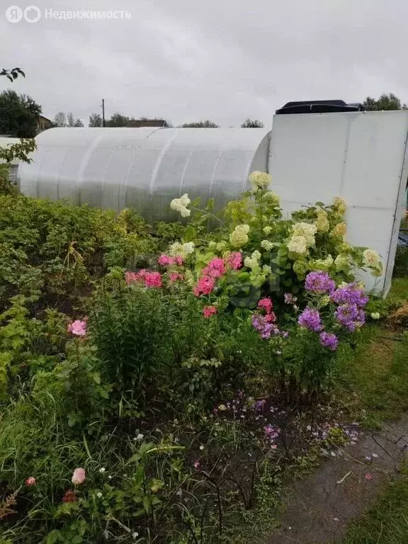 Участок в Новосибирск, СНТ Черёмушки (7.3 м) - Фото 2