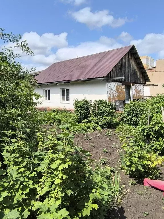 Дом в Омская область, Омск ул. Вавилова, 10 (77 м) - Фото 1