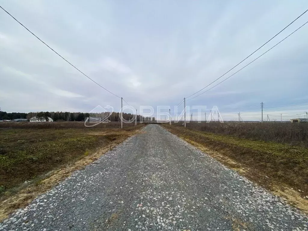 Участок в Тюменская область, Тюменский муниципальный округ, с. Успенка ... - Фото 2