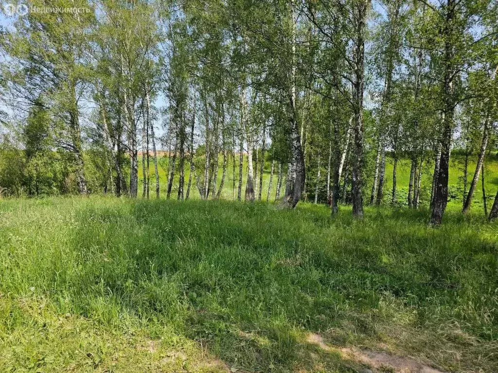 Участок в Московская область, Коломна (1454.85 м) - Фото 0