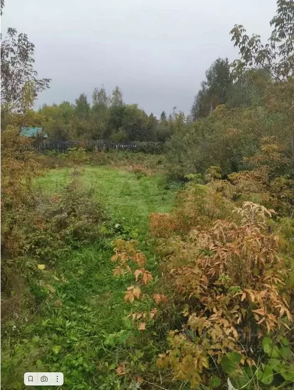 Участок в Ульяновская область, Барыш ул. Ленина, 43 (14.3 сот.) - Фото 2