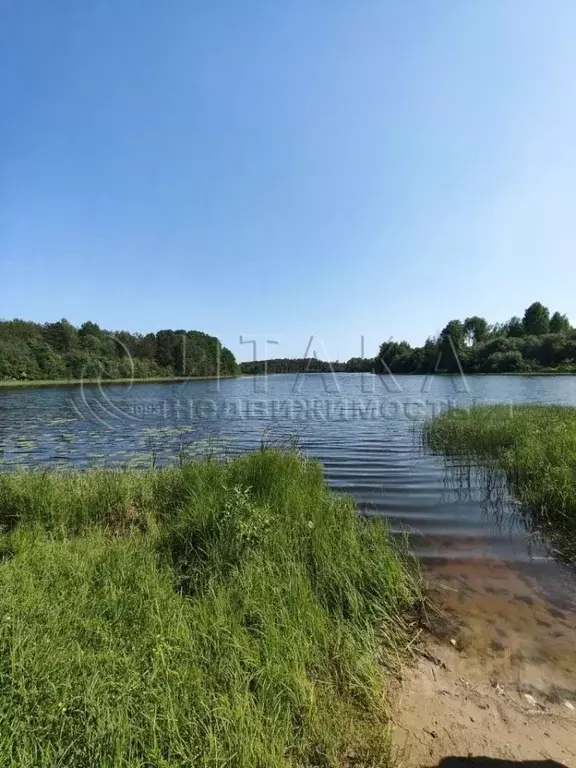 Участок в Ленинградская область, Приозерский район, Севастьяновское ... - Фото 0