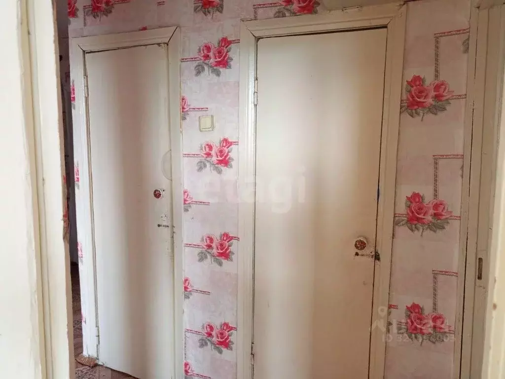 2-к кв. Курганская область, Далматовский муниципальный округ, с. ... - Фото 2