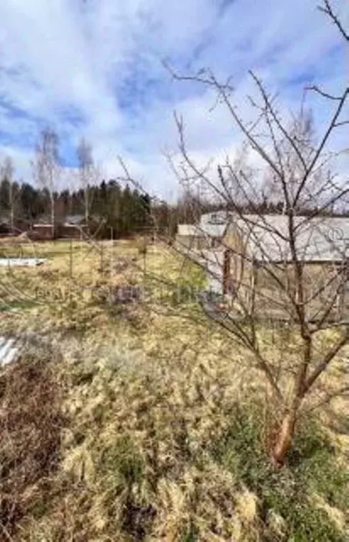 Участок в Ленинградская область, Выборгский район, Советское городское ... - Фото 1