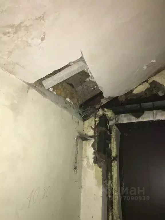 Помещение свободного назначения в Владимирская область, Владимир ул. ... - Фото 1