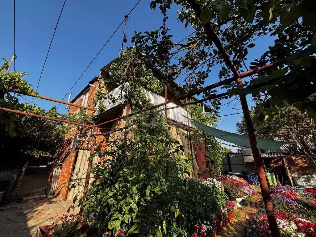 Дом в Краснодарский край, Ейск Амурская ул. (260 м) - Фото 1