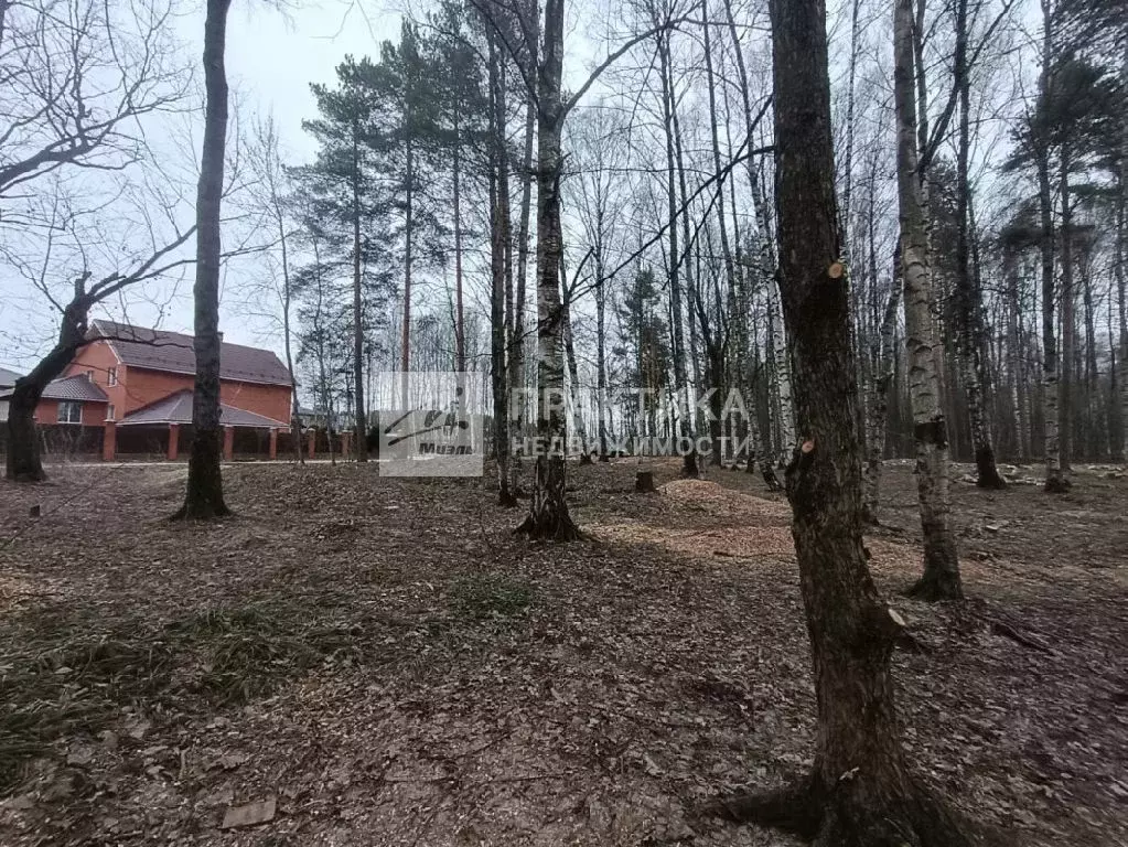 Продается участок в г. Ногинск - Фото 2