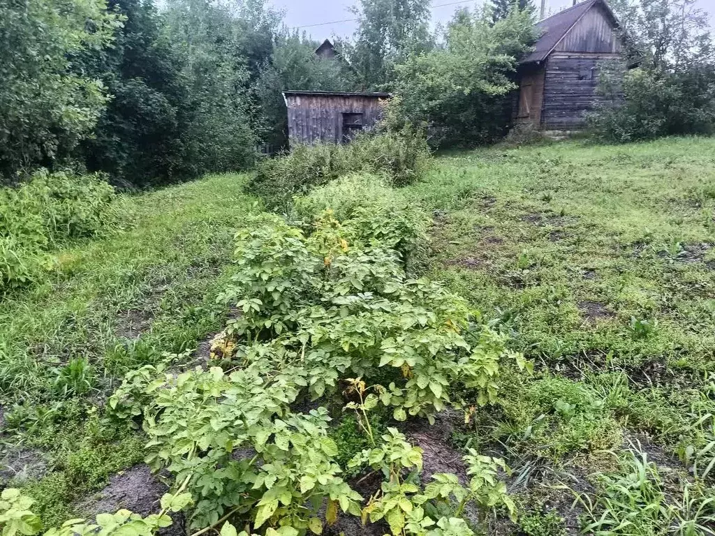 Дом в Коми, Сыктывдинский район, Выльгорт муниципальное образование, ... - Фото 0
