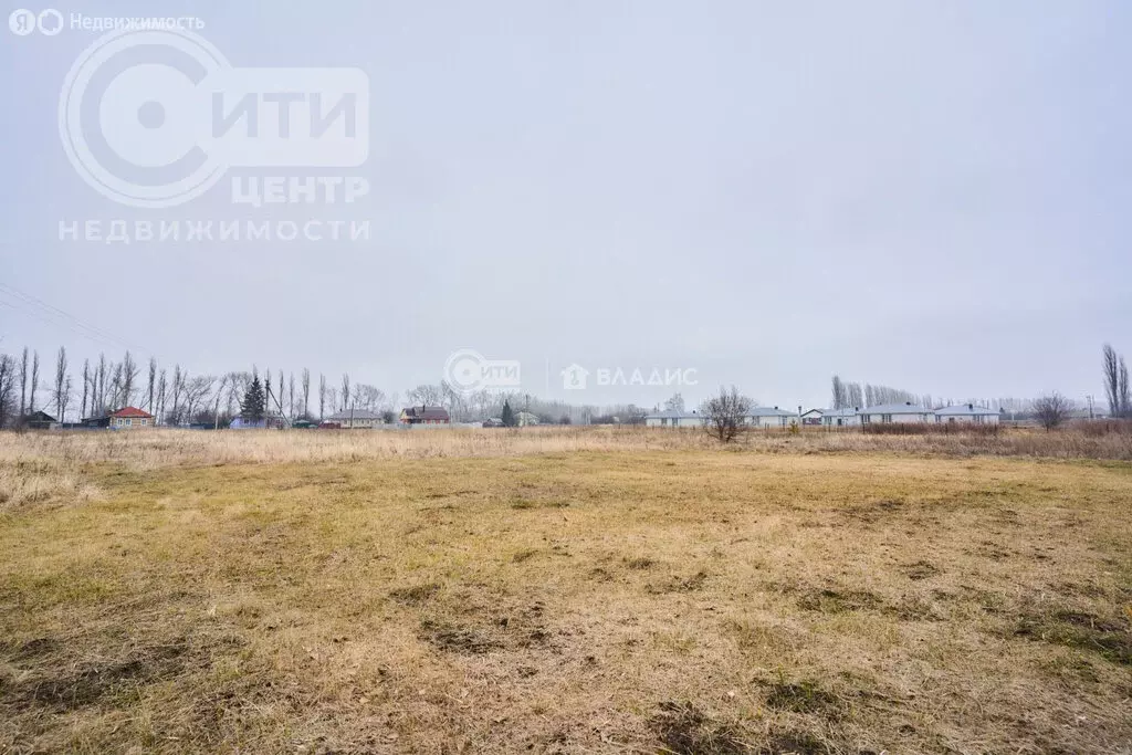 Участок в Рамонский район, Новоживотинновское сельское поселение, СНТ ... - Фото 1