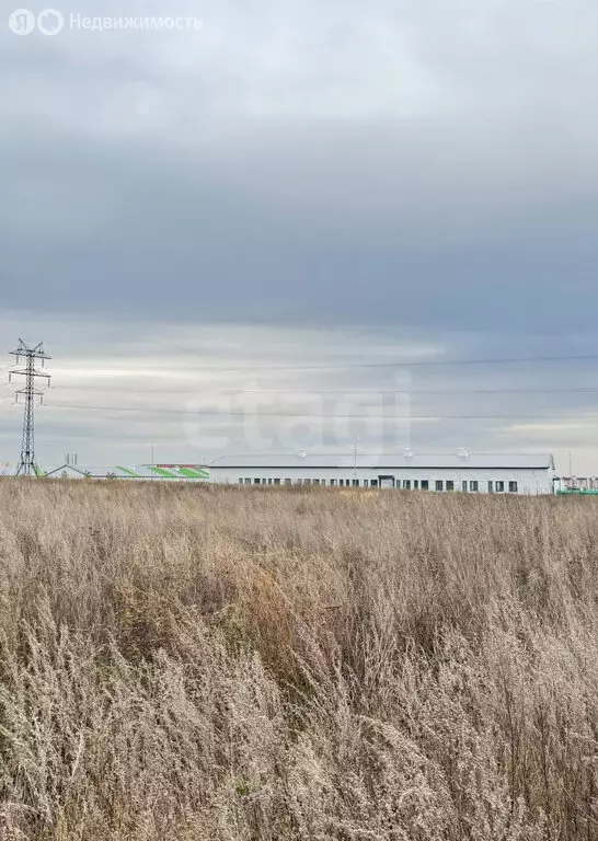 Участок в Мариинский, улица Новосёлов (7.51 м) - Фото 1