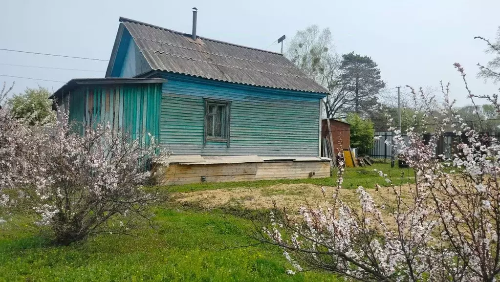Дом в Хабаровский край, Вяземский ул. Казачья, 58А (35 м) - Фото 0
