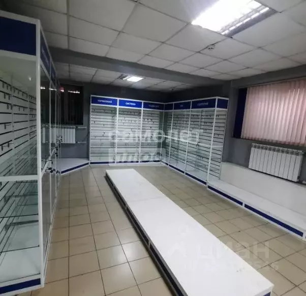 Торговая площадь в Ивановская область, Иваново Сосновая ул., 1/12 (202 ... - Фото 1