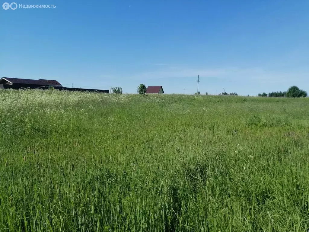 Участок в Вологодский муниципальный округ, село Кубенское (15 м) - Фото 1