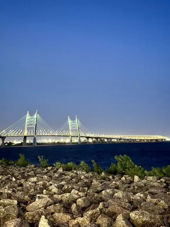 Студия Санкт-Петербург просп. Крузенштерна, 4 (20.0 м) - Фото 1