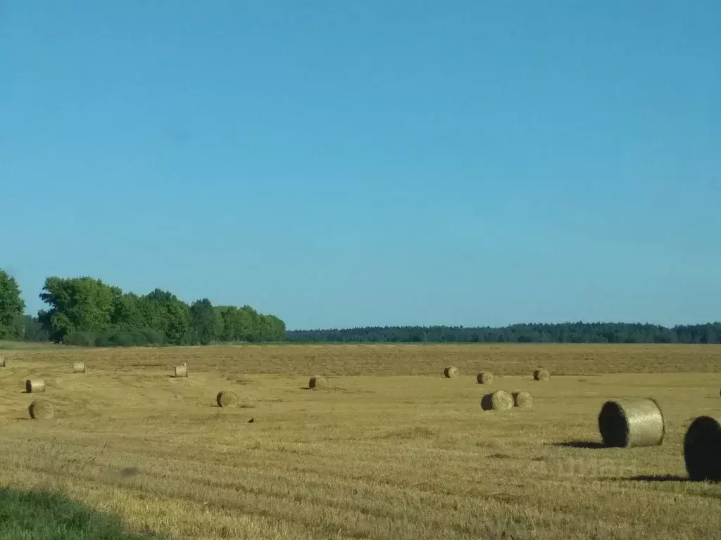 Участок в Калужская область, Жуковский район, с. Тарутино  (12.8 сот.) - Фото 0