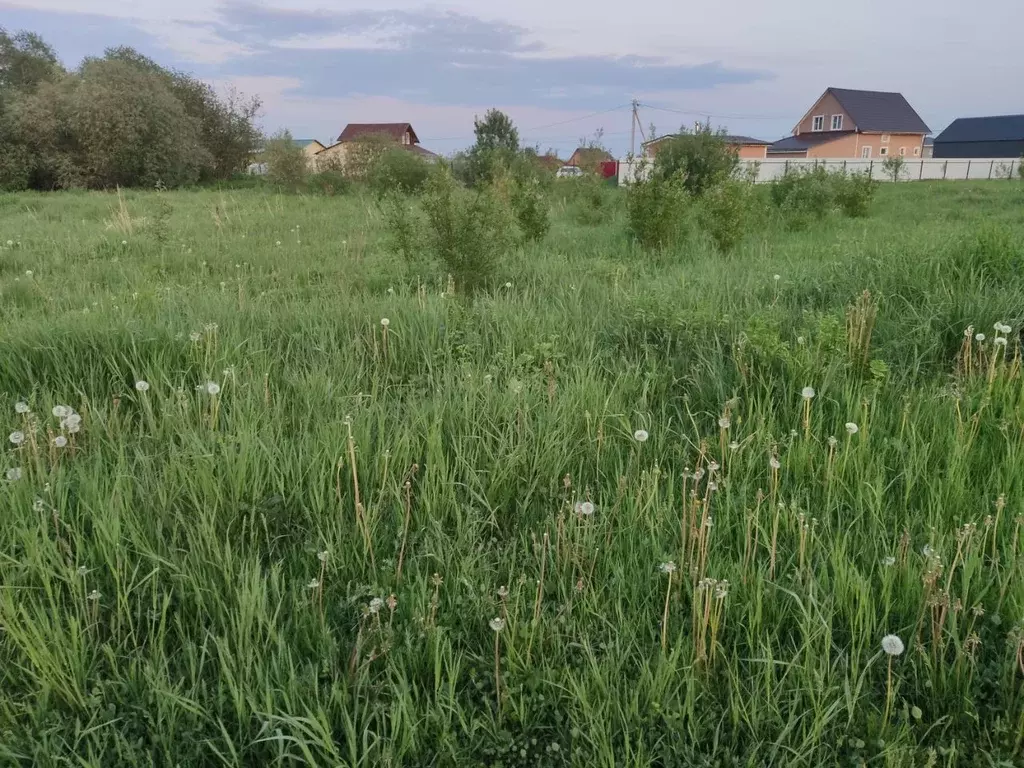 Участок в Ленинградская область, Гатчинский муниципальный округ, ... - Фото 2