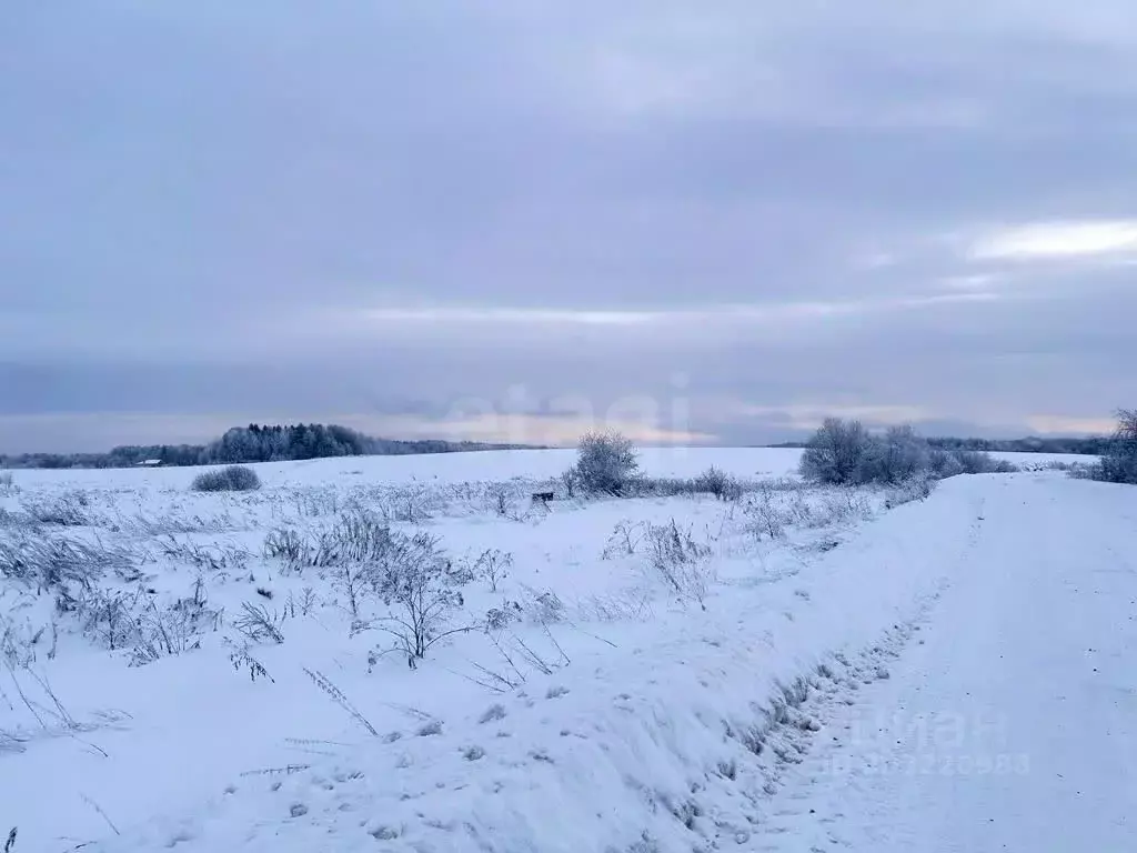 Участок в Вологодская область, пос. Грибково 10 (10.0 сот.) - Фото 1