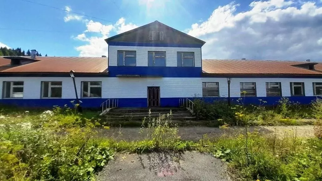 Помещение свободного назначения в Пермский край, Лысьвенский ... - Фото 1