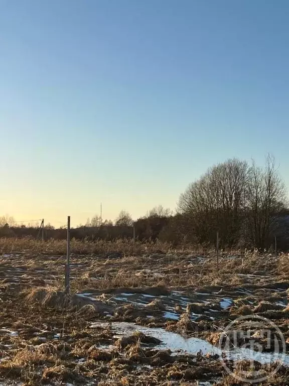 Участок в Ленинградская область, Лужский район, Заклинское с/пос, д. ... - Фото 2