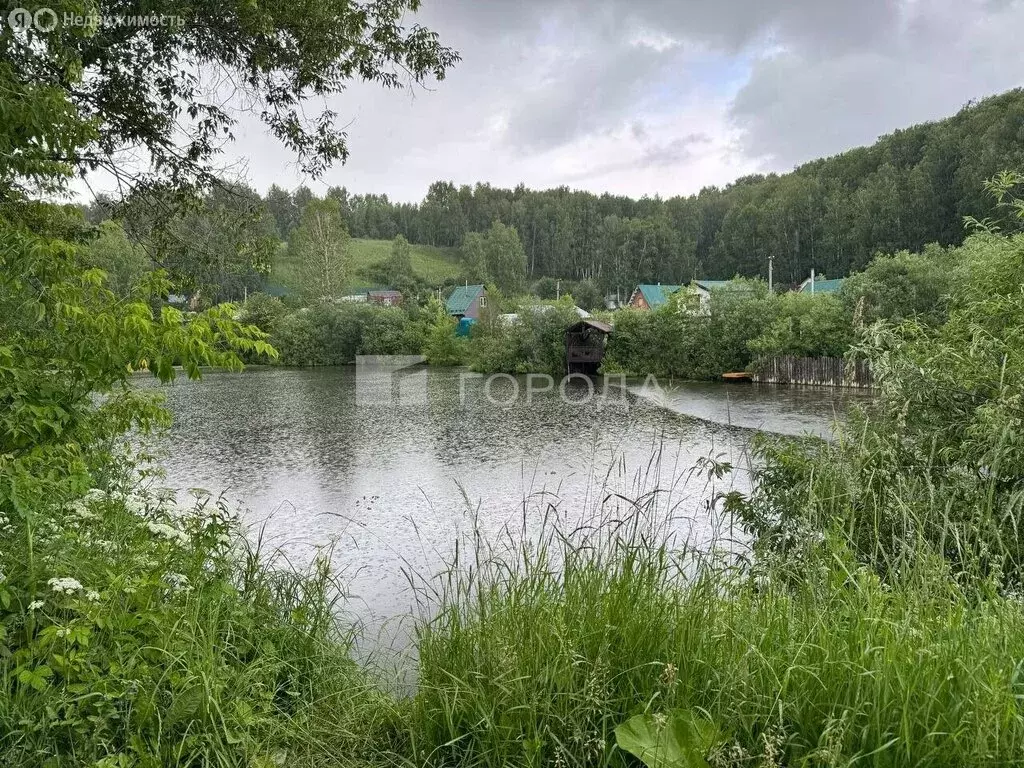 Участок в Новосибирск, НСТ Ветеран, 12-й квартал (5.5 м) - Фото 0