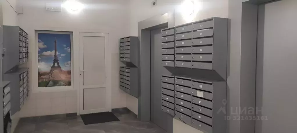 Студия Санкт-Петербург Дунайский просп., 55к1 (25.3 м) - Фото 1