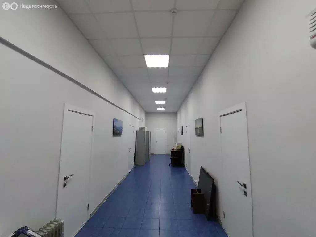 Офис (21.2 м) - Фото 1