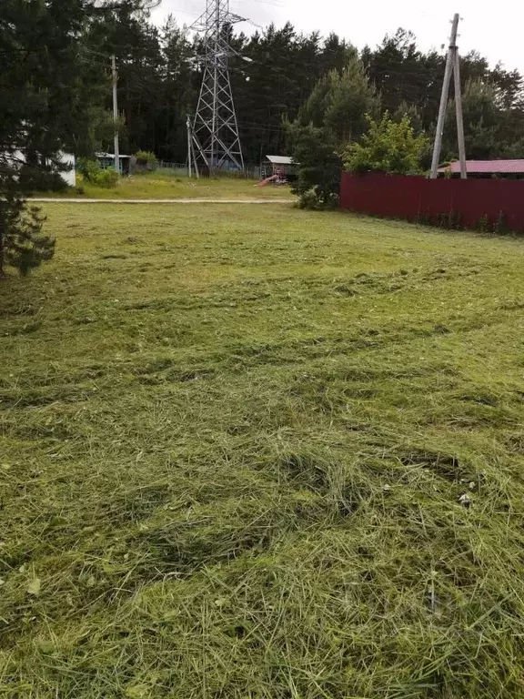 Участок в Московская область, Ступино городской округ, Ока-3 СНТ 43 ... - Фото 2