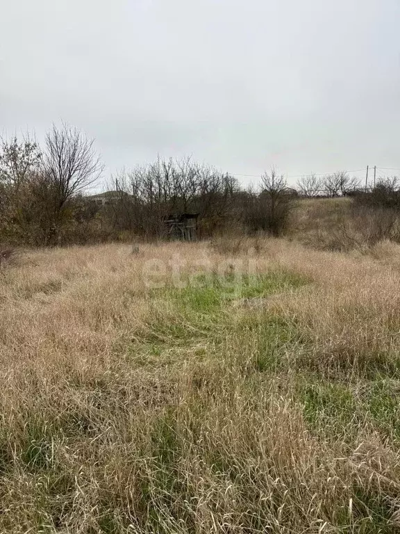 Участок в Белгородская область, Белгородский район, Беловское с/пос, ... - Фото 1