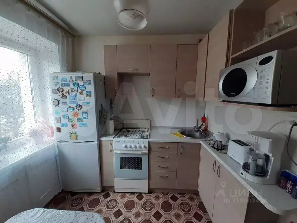 2-к кв. Белгородская область, Губкин ул. Фрунзе, 13 (42.0 м) - Фото 0