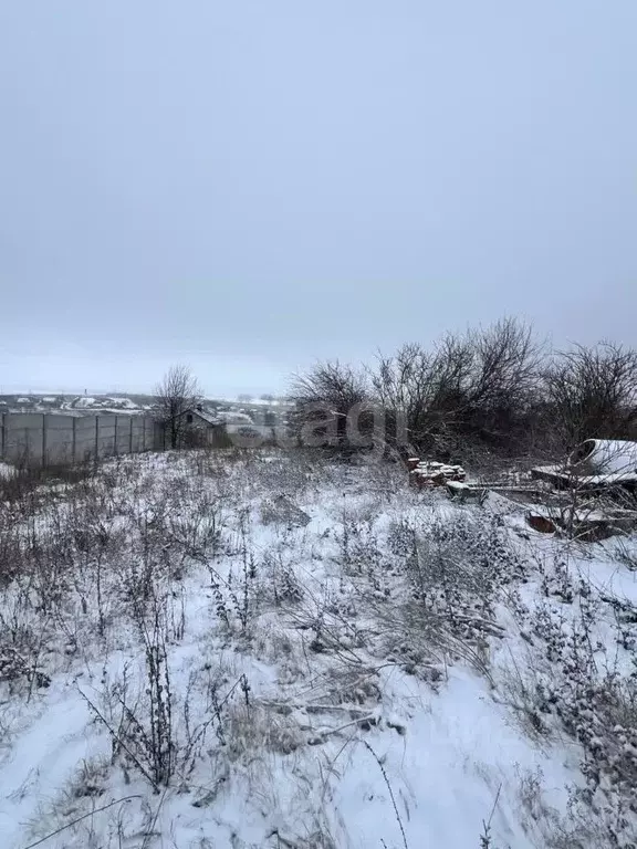 Участок в Белгородская область, Яковлевский муниципальный округ, с. ... - Фото 0