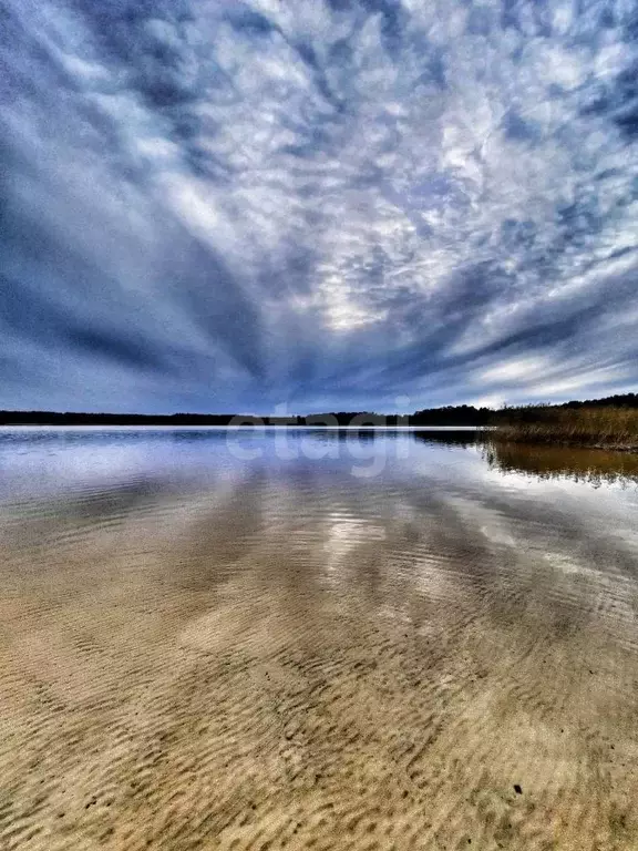 Участок в Нижегородская область, Навашинский муниципальный округ, с. ... - Фото 1